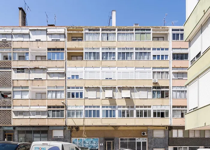 Akicity Alameda Yellow Lisbon