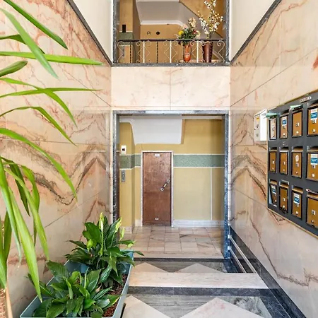 Akicity Alameda Yellow